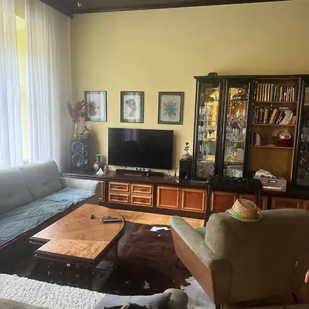 Apartma Mladinska Apartment