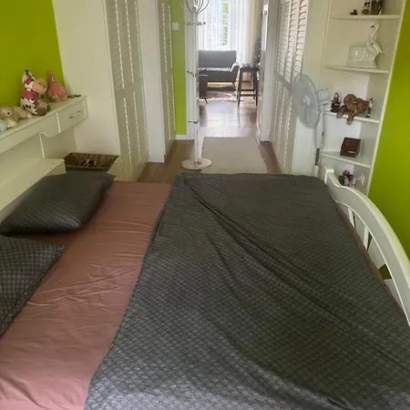 Apartma Mladinska Apartment *