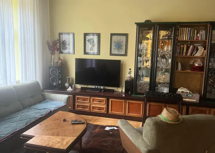 Apartma Mladinska Apartment